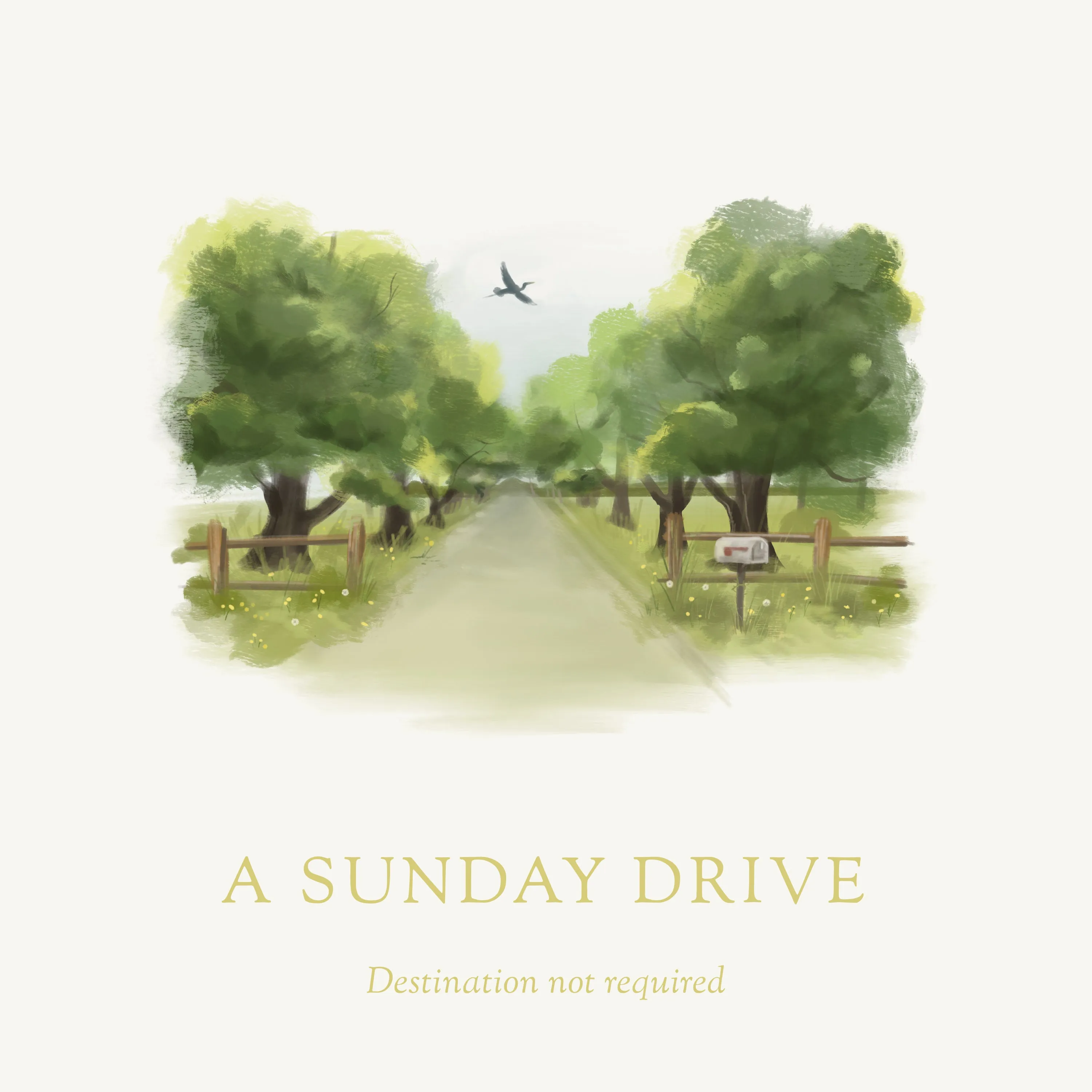 A Sunday Drive
