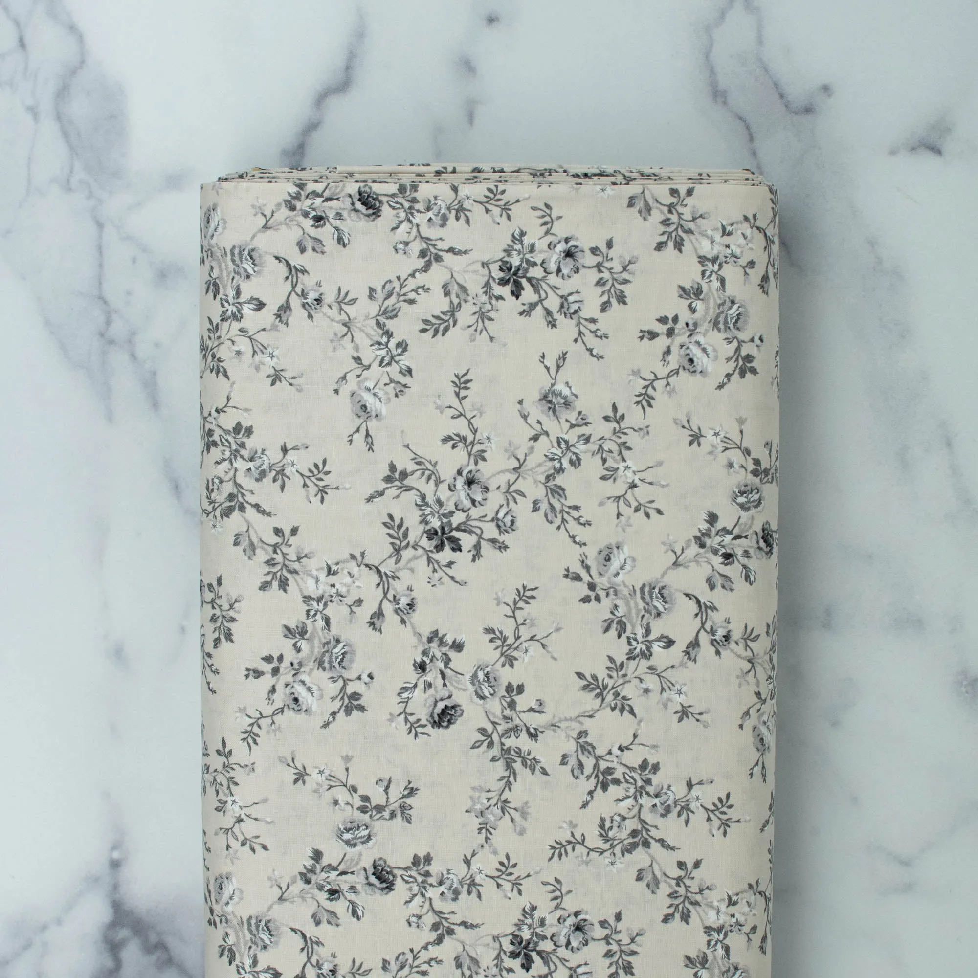 Carte Postale by Skipping Stones Studio - Gray vine flowers on light khaki background