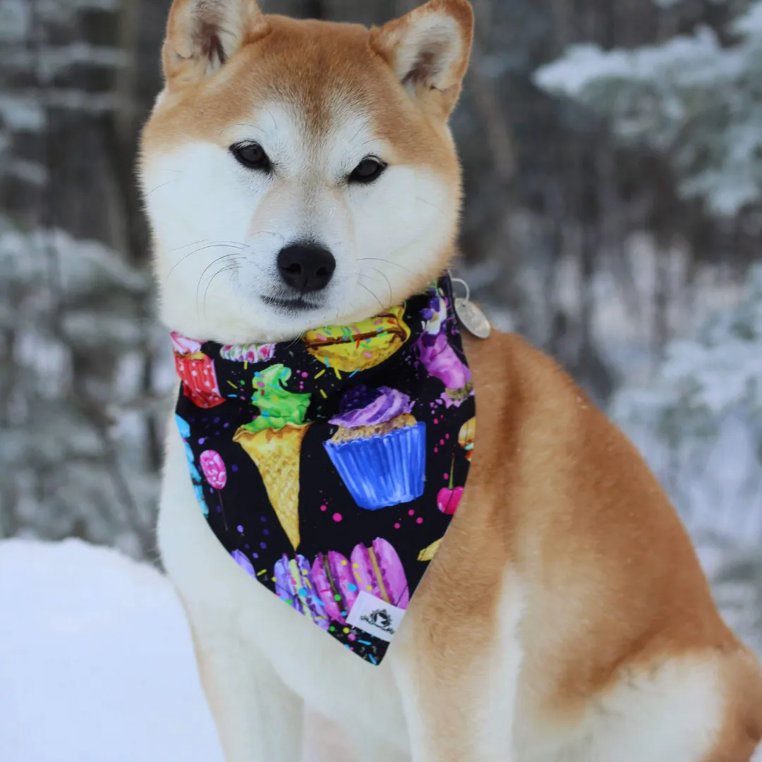 Foulard chic pour grand chien - Nuit étoilée