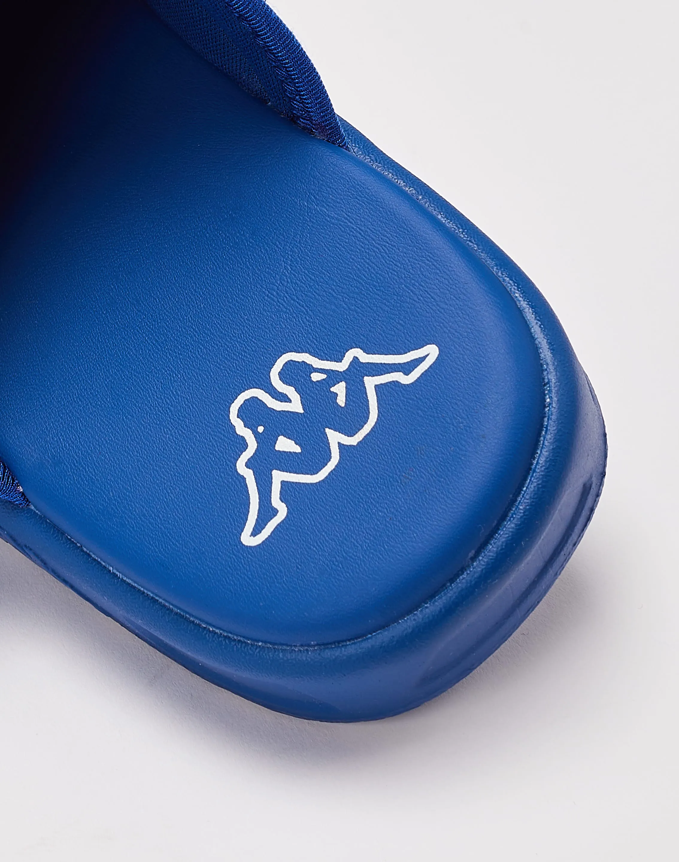 Kappa Logo Zirk 1 Slides Grade-School