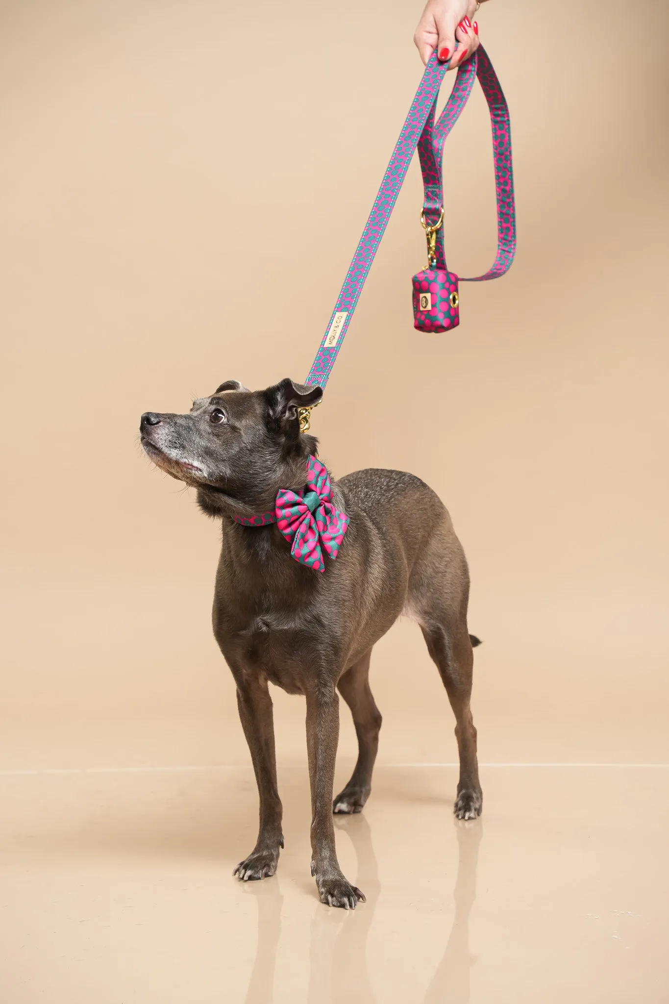 Polka Dogz - Dog Sailor Bowtie